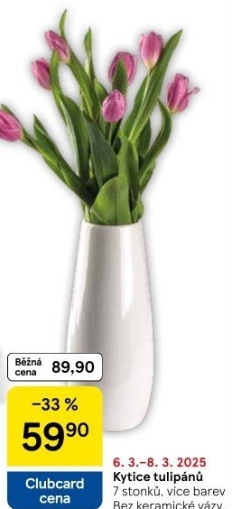 Řezané tulipány