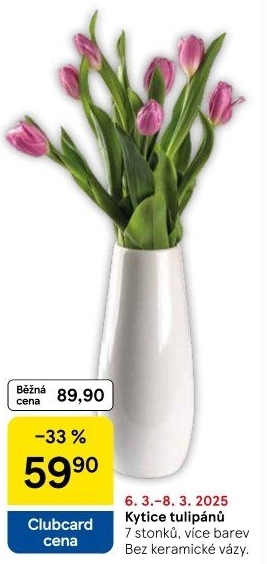 Řezané tulipány