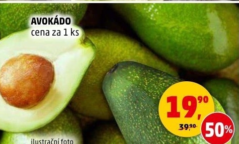 Avokádo