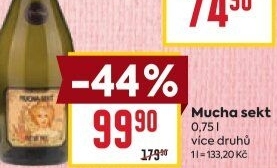 Sekty Mucha