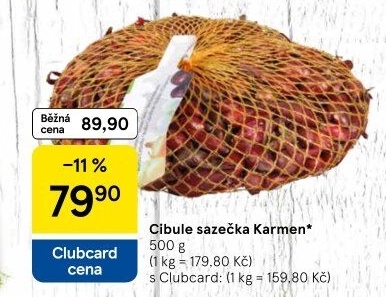 Cibule sazečka