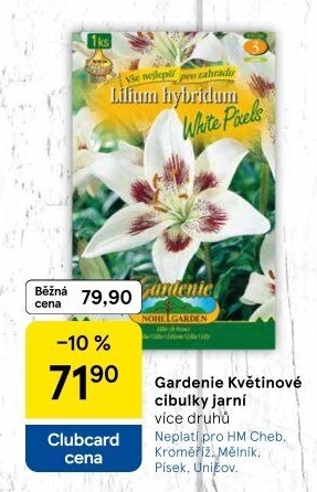 Cibulky květin - cibuloviny Nohel Graden