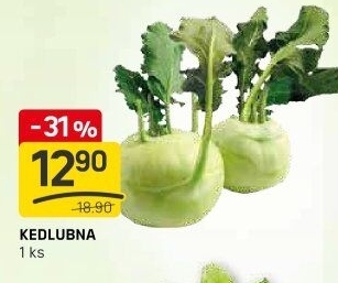 Kedlubna bílá