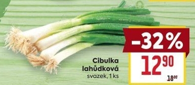 Jarní cibule svazek