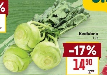 Kedlubna bílá