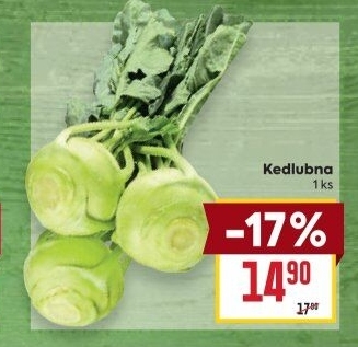 Kedlubna bílá