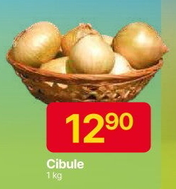 Cibule kuchyňská žlutá
