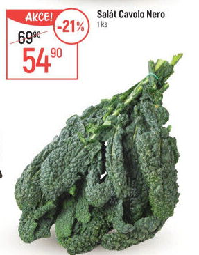 Salát Cavolo Nero