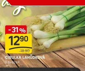Jarní cibule svazek