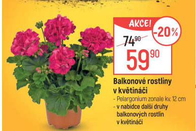Balkonové rostliny