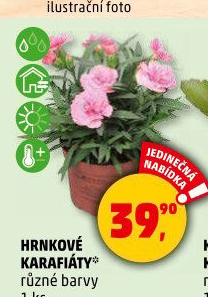 Karafiát