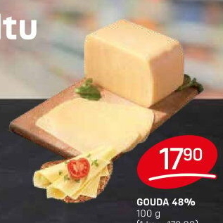 Sýr Gouda 48%