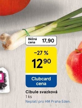 Jarní cibule svazek