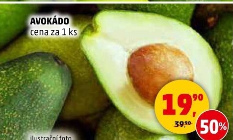 Avokádo