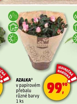 Azalka