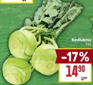 Kedlubna bílá