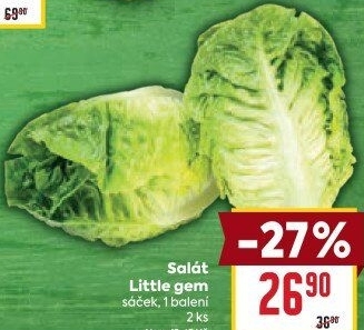 Salát little gem