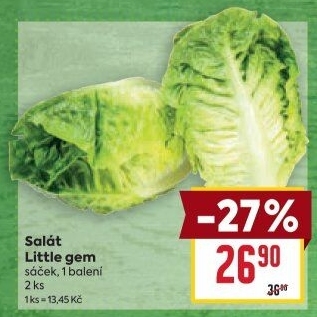 Salát little gem