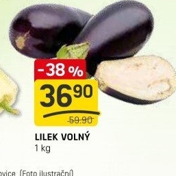 Lilek