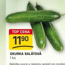 Okurka salátová - hadovka