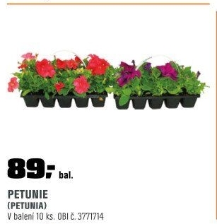 Petuniakultivary