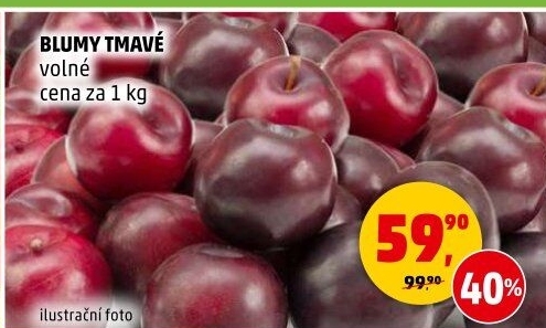 Blumy tmavé