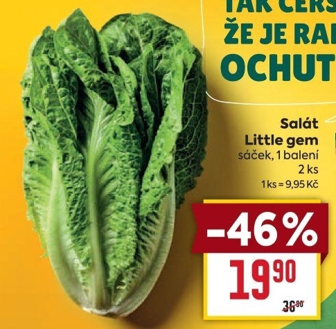 Salát little gem