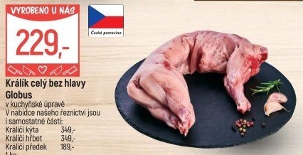 Králík Globus