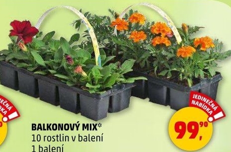 Balkonové rostliny