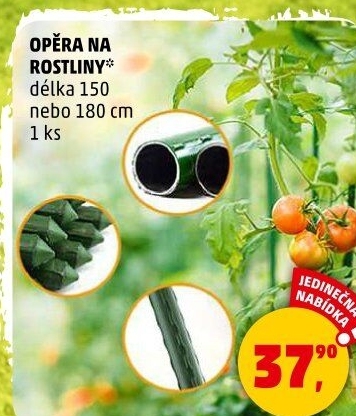 Tyč na zeleninu
