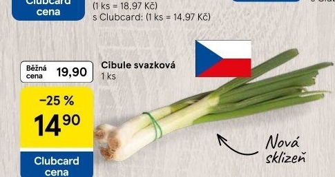 Jarní cibule svazek