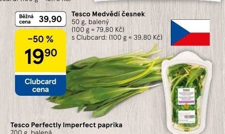 Medvědí česnek Tesco