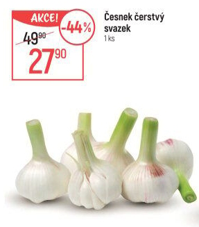Česnek čerstvý svazek
