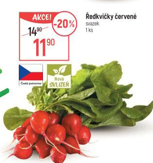 Ředkvičky svazek