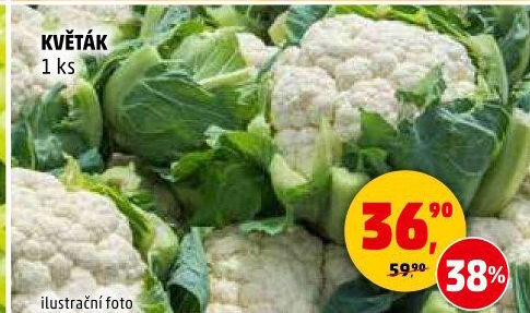 Květák