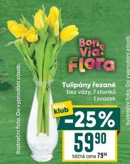 Řezané tulipány Flora Billa Bonvia