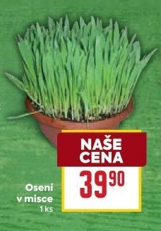 Velikonoční osení