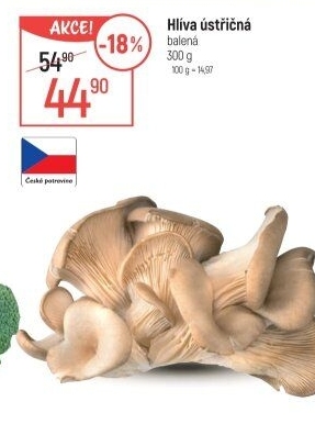 Hlíva ústřičná