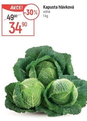 Kapusta hlávková
