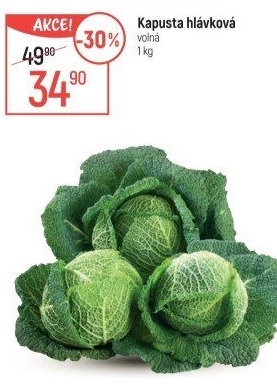 Kapusta hlávková