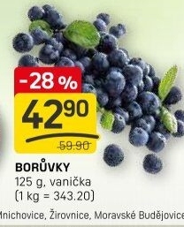 Borůvky