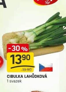 Jarní cibule svazek