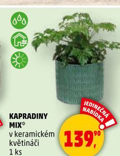 Kapradina