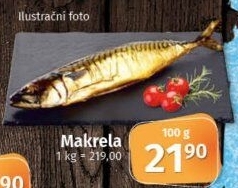 Makrela