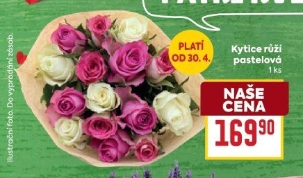 Řezané růže