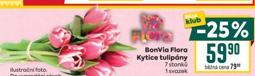 Řezané tulipány Flora Billa Bonvia