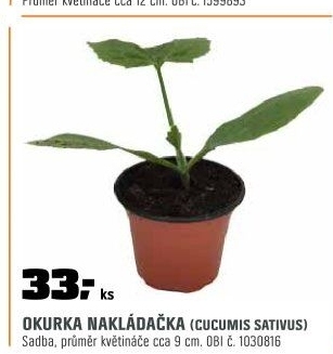 Okurkanakladačka