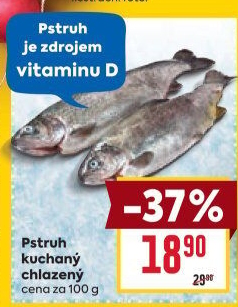 Pstruh kuchaný