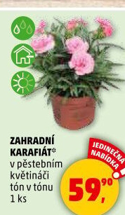 Karafiát
