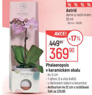 Orchidej